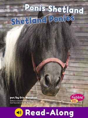 cover image of Ponis Shetland / Shetland Ponies